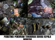 Viral Tengkorak Diduga Manusia Gegerkan Warga Tapin