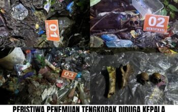 Viral Tengkorak Diduga Manusia Gegerkan Warga Tapin 7 IMG 20260121 WA0021