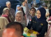 Halida Noviasari Serap Aspirasi Warga Dapil Kalsel V Lewat Reses Turun ke lokasi Banjir Tabalong