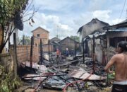 Si Jago Merah Mengamuk di Jalan Niaga, Wabup Tanah Laut H Zazuli Turun ke Lokasi