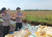 Sempat Terendam Banjir, Jagung Polresta Banjarmasin Tetap Berhasil Dipanen