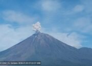 Gunung Semeru Erupsi, Tinggi Letusan 700 Meter di Atas Puncak
