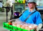 Jual Kue Berkeliling, Biayai Kuliah