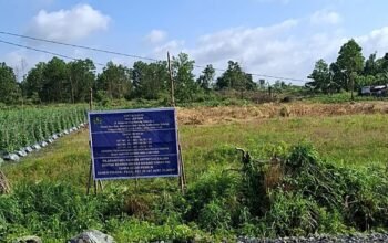 IMG 20260118 131708 1