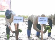 Tanah Laut Masuk 5 Besar Nasional