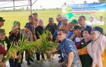 Hal 4 4 KLm Martapura Program Oplah