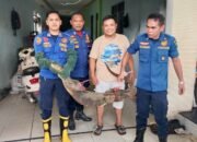 Biawak Dievakuasi di Garasi Warga