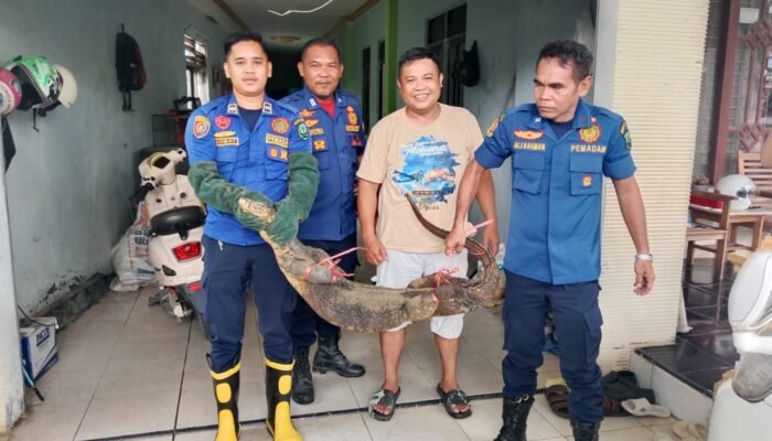 Biawak Dievakuasi di Garasi Warga