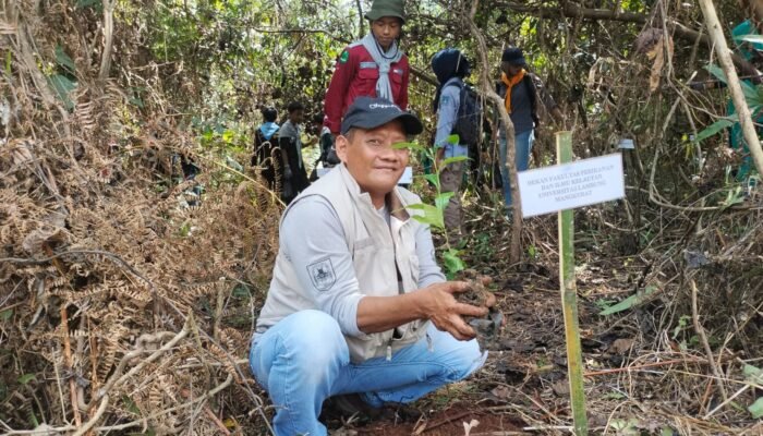 Peduli Lingkungan, Mapala Piranha Tanam 1.000 Bibit Pohon di Kiram