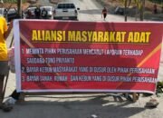 Aliansi Masyarakat Adat Pembela Utus Gelar Demo Perusahaan Bara Kapuas
