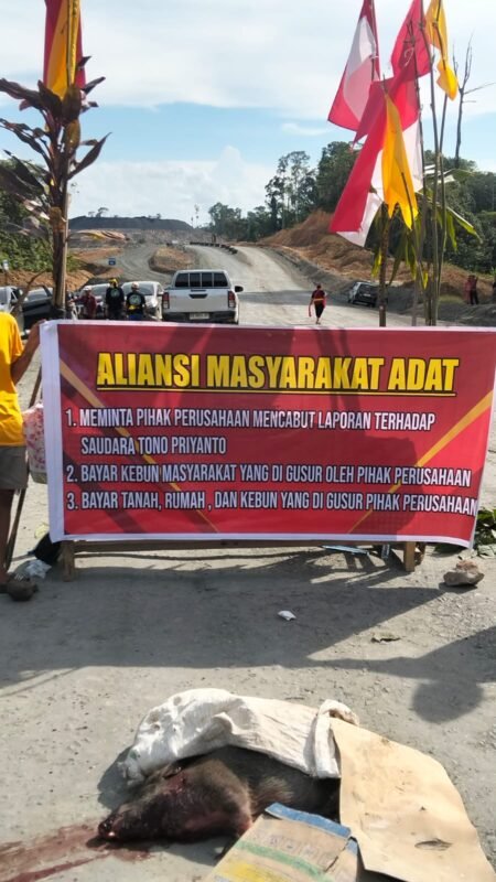 IMG 20260213 WA0008 e1770939905606