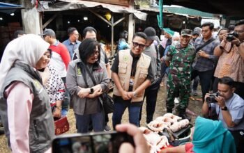 IMG 20260213 WA00411