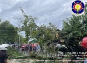 Pohon Tumbang Depan Masjid Al-Karomah Timpa Mobil, Korban Dilarikan ke Rumah Sakit