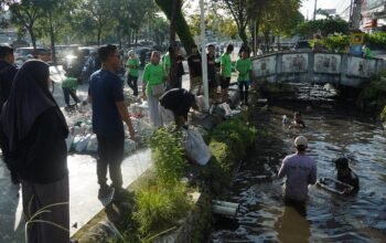 IMG 20260214 WA0030 1