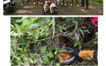 IMG 20260224 WA0038 1