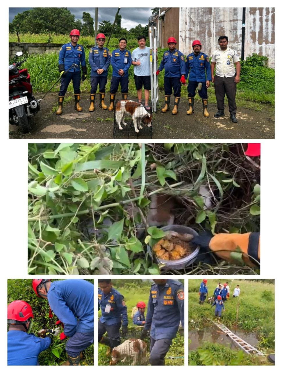 IMG 20260224 WA0038 1