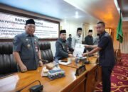 Bupati Tapin Rancang Ubah Aturan Pajak dan Retribusi, Fokus Kesehatan dan PAD