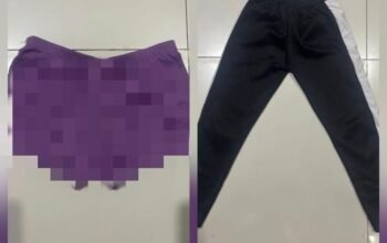 Setubuhi Anak di Bawah Umur, Pria Paruh Baya Asal Sulingan Tabalong Ditangkap Polisi 4 IMG 20260227 WA0037