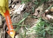 Mayat Wanita Misterius Ditemukan Tertelungkup