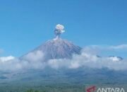 Gunung Semeru Erupsi Tujuh Kali dalam Waktu Tiga Jam, Tinggi Letusan 300-800 Meter