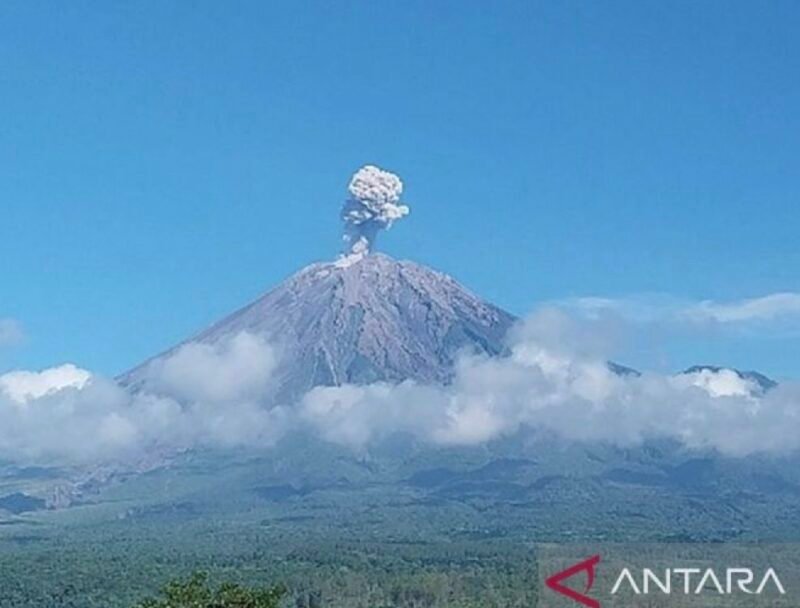 IMG 20260204 105055 e1770177099676