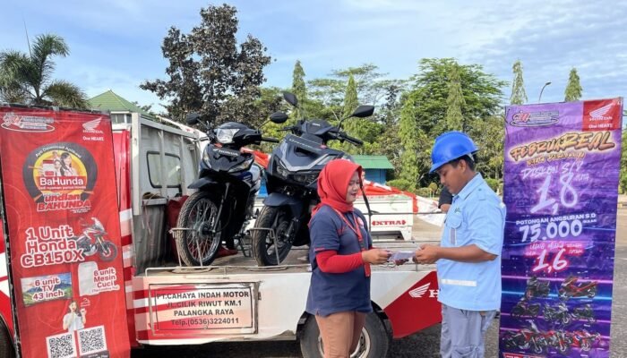 WhatsApp Image 2026 02 12 at 12.15.15