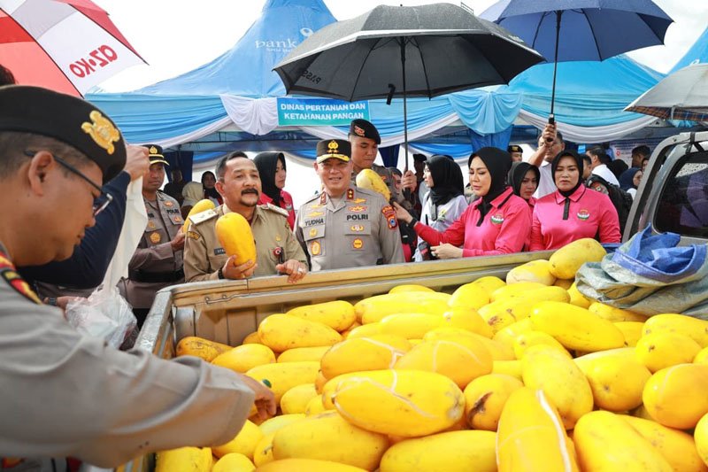 1 3 klm gerakan polda