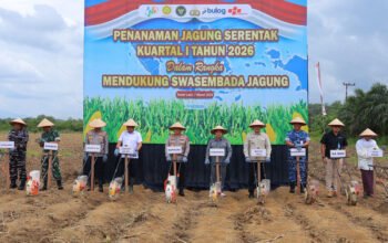 Hal 2 Tala 1 3 klm 3