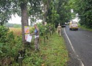 Tindak Iklan Ilegal, Satpol PP Bersihkan Kawasan Jalan A Yani