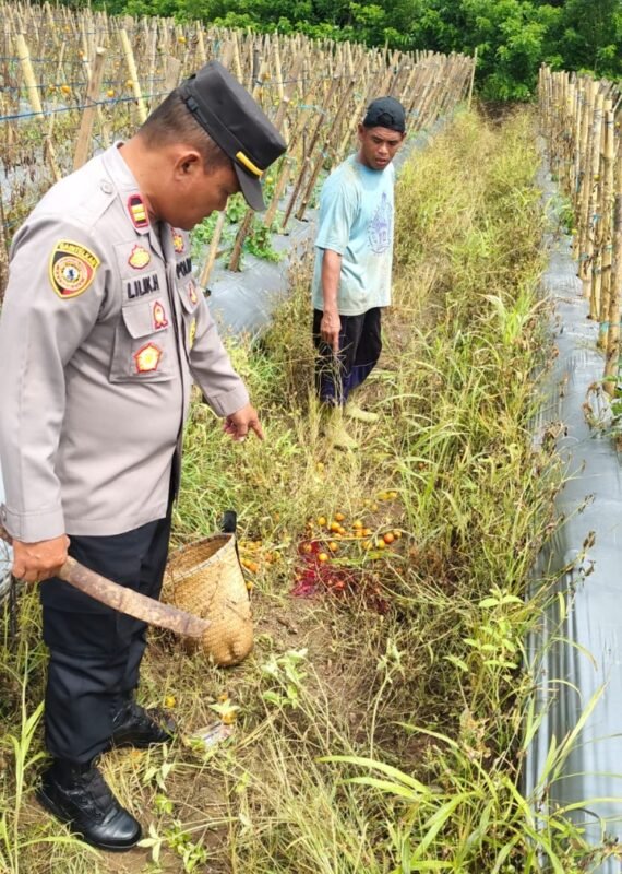 IMG 20260303 WA0033 e1772529610401