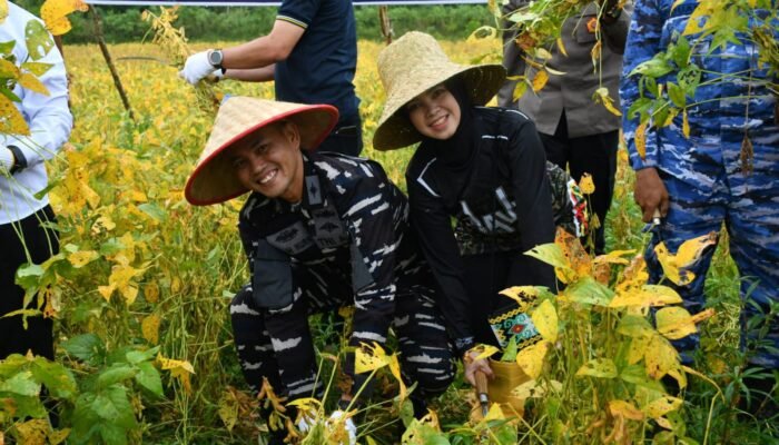 Pemprov Kalimantan Selatan Apresiasi Panen Kedelai Lanal Banjarmasin 3 IMG 20260304 WA0046