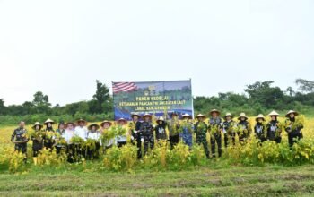 Pemprov Kalimantan Selatan Apresiasi Panen Kedelai Lanal Banjarmasin 4 IMG 20260304 WA0049