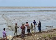 Kapal Nelayan Tabunganen Karam Diterjang Ombak