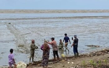 IMG 20260305 WA0045 1