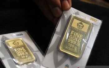 IMG 20260306 WA0019 1