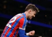 Tottenham Hotspur Terancam Degradasi Usai Dikalahkan Crystal Palace