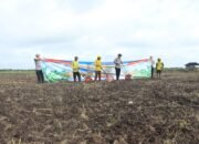 Polresta Banjarmasin Kembali Tanam Jagung di Lahan Rawa Kabupaten Banjar