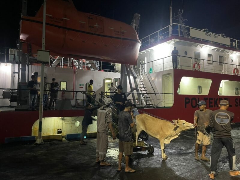 IMG 20260310 WA0021 e1773122598574