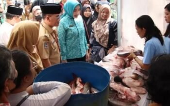 IMG 20260311 WA0004 1