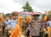 Polres Tapin Panen Jagung, Dukung Program Ketahanan Pangan