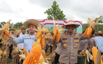 IMG 20260312 WA0031 1