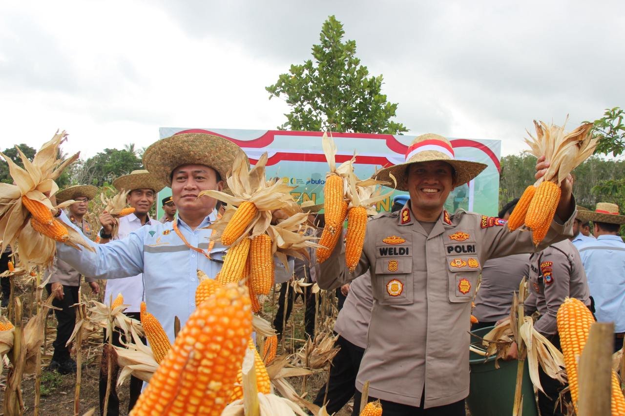 IMG 20260312 WA0031 1