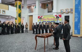 IMG 20260313 WA0007 1