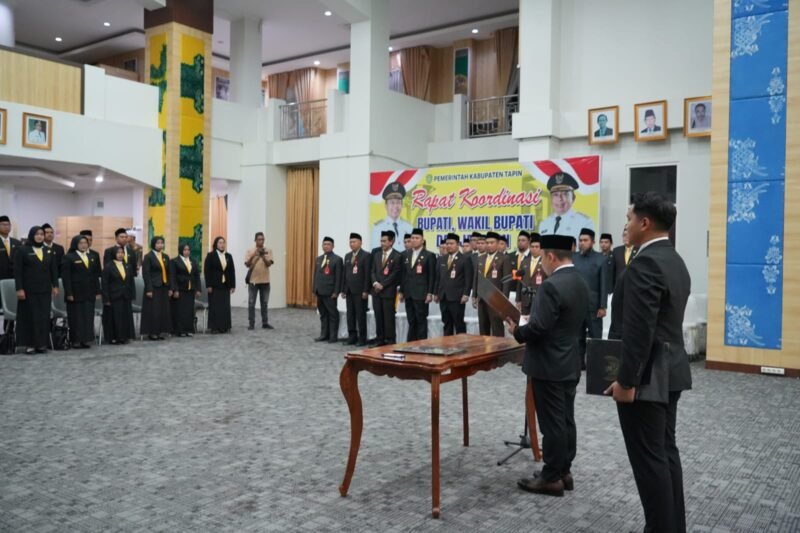 IMG 20260313 WA0007 1 e1773343732183