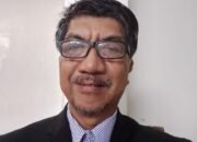 Menantikan Kembalinya Kepak Sayap Burung Enggang