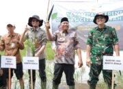 Perkuat Ketahanan Pangan, Pemkab Batola Bersama Kementan Laksanakan Gerakan Tanam Serempak CSR