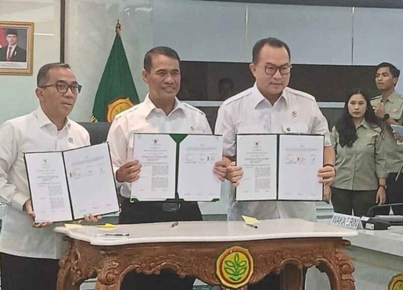 IMG 20260312 154320 e1773301446355