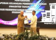 Soroti Pengelolaan Kas Daerah, BPK Kantongi LKPD Pemprov Kalsel dan Pemda 13 Kabupaten/Kota