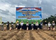Mendukung Swasembada Dicanangkan Pemerintah, Polda Kalsel Penanaman Jagung pada Lahan 10 Ha di Tala