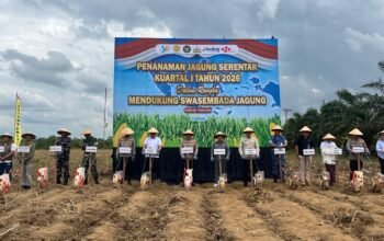 WhatsApp Image 2026 03 07 at 21.17.31 1